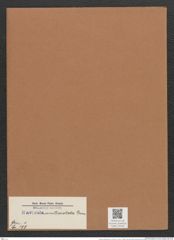 Navicula multicostata Grun. (de-Toni-Nr.: Genus 1, Species 199) Zeichnungen Sammlung Grunow Mappe 00160 (Herbarium_W_Grunow_drawings_Folder_00160)